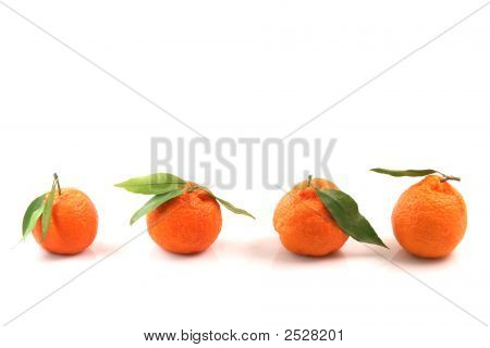 Kopiere plads mandariner