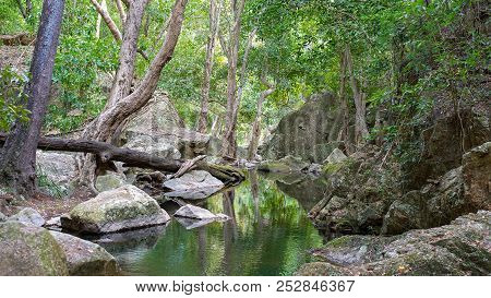 A Crystal Clear Creek In Paluma Range National Park Near Jourama Falls In Queensland Australia