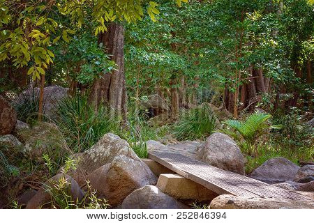 A Walking Track In Paluma Range National Park To Jourama Falls Queensland Australia