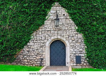Beautiful Medieval Door On A Background Of A Stone Wall Covered With Ivy