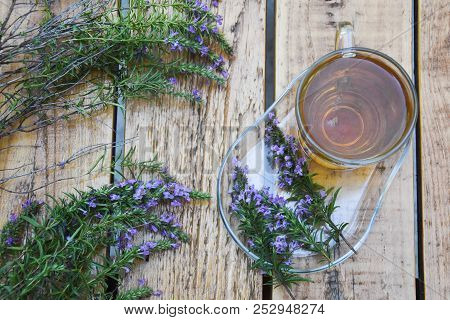 Cup Of  Fresh Natural Tea On Wooden Table.  Thymus Serpyllum Natural Tea, Breckland Thyme  With Cup 