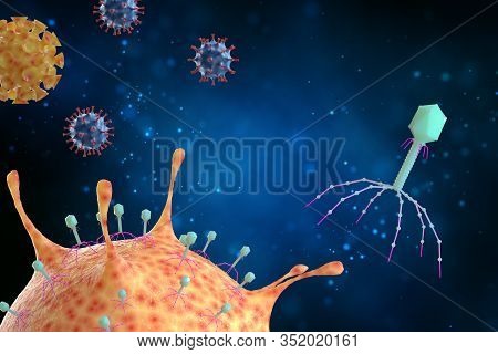 Bacteriophage Viruses Attacks Bacteria, Infectious Disease, 3d Illustration. Medical Concept.