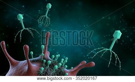 Bacteriophage Viruses Attacks Bacteria, Infectious Disease, 3d Illustration. Medical Concept.