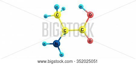 Alanine Is A Non-essential Amino Acid That Occurs In High Levels In Its Free State In Plasma. 3d Ill