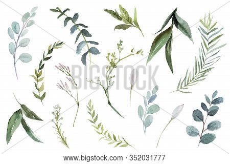 Watercolour Floral Illustration Set. Diy Flower Elements Collection - Perfect For Flower Bouquets, W