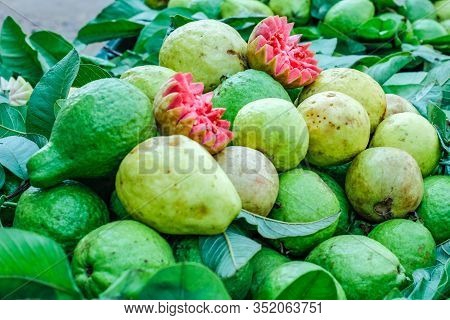 Fresh Guava Bunch In Indian Fruit Market