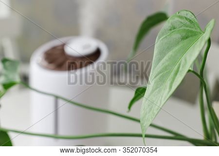 White Air Humidifier Spreading Steam. Humidification Of Dry Air. Selective Focus On Leaf Of Housepla
