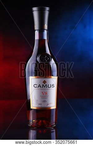 Bottle Of Camus, A Brand Cognac From Cognac, France