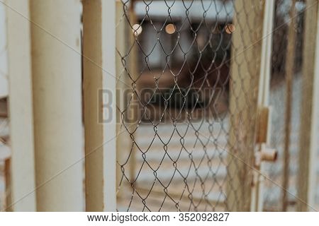 fence mesh close-up macro photography gray on