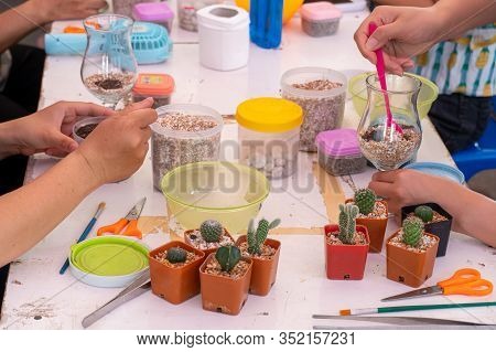 Planting Trees, Arranging A Terrarium For Home Decoration. Horticulture And Gardening On Summer Holi