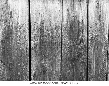Wheatered Old Vertical Pine Wood Boards Close Up Shot In Black And White.