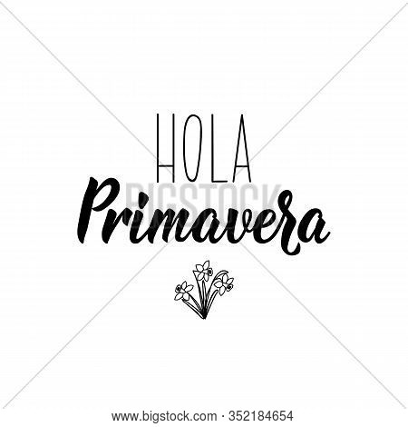Hola Primavera. Lettering. Translation From Spanish - Hello Spring. Element For Flyers, Banner And P
