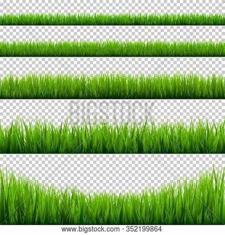 Grass Borders Collection. Green Meadow Nature Background. Easter Card Design Element. Vector Illustr