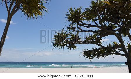 Surf-Strand