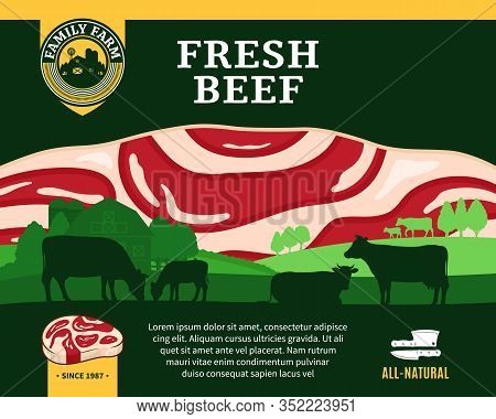 Vector Beef Illustration With Cows, Calves, Farm And Steak