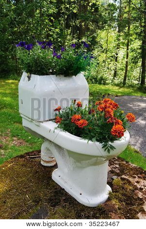 Blumentopf Schale mit Blumen im Garten