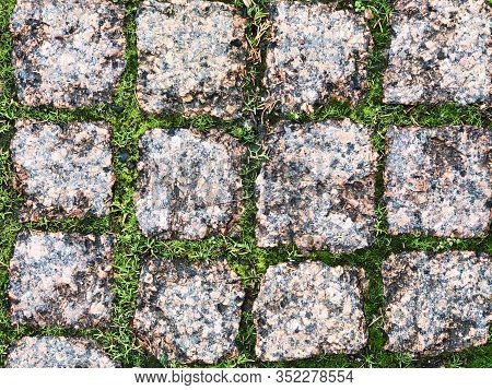 Paving Slabs With Green Grass In The Garden