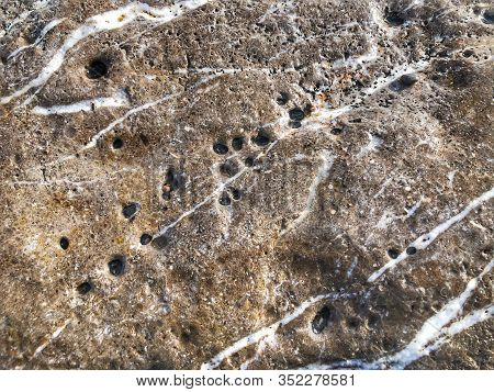 Close - Up Details Of The Stone, The Texture Of The Stone, The Surface Of The Stone And The Backgrou