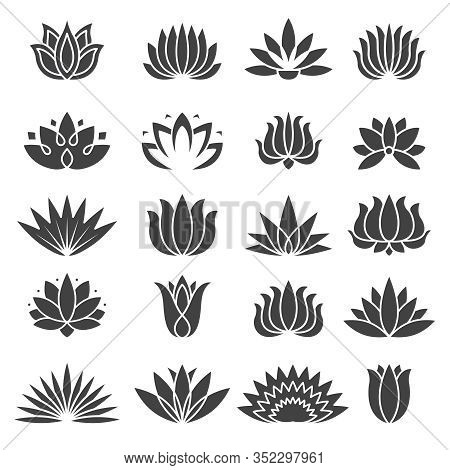 Lotus Icon Botanical Vector Photo Free Trial Bigstock Lotus Icon Botanical Vector Photo Free Trial Bigstock