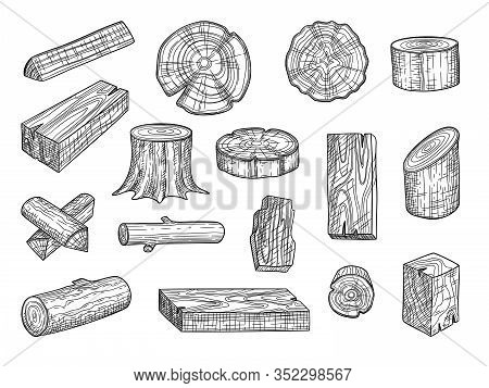Lumber. Wooden Trunks Branch Oak Stacked Log From Tree Vector Hand Drawn Set. Lumber Trunk Wooden, H