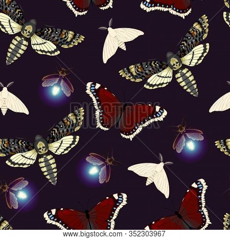 Vector Seamless Pattern With Dead Head Hawk Moths