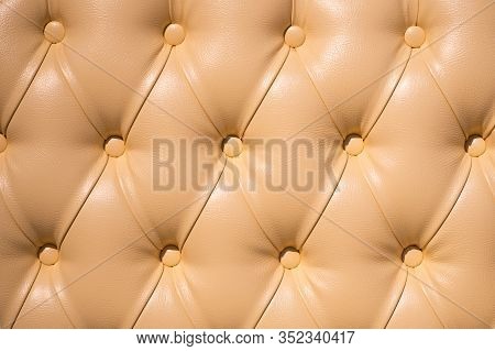 Coach-type Velours Screed Tightened With Buttons. Chesterfield Style Quilted Upholstery Backdrop Clo