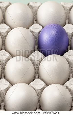 Cell And Eight Eggs Close-up, Top View. Among Them, One Thing Stands Out-blue Or Purple. A Leader Or