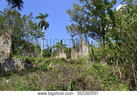 Ruins And Overgrown Traces Of An Old Coffee Plantation Building In The Area Of Las Terrazas, Cuba