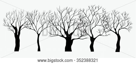 Black Hand Drawn Silhouette Trees. Set Of Vector Illustration. Old Dark Black And White Garden