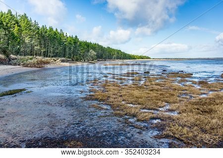 A View Of The Shoreline At Leadbetter Point  State Park In Washington Statep