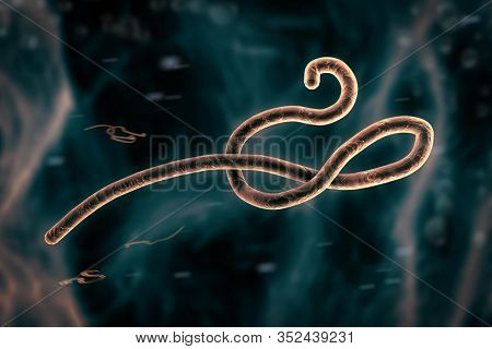 Microscopic view of the ebola virus.  3d illustration.