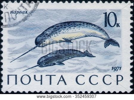 Saint Petersburg, Russia - February 20, 2020: Postage Stamp Issued In The Soviet Union With The Imag