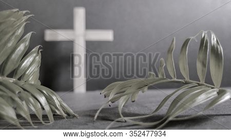 Lent Season,holy Week And Good Friday Concepts - Closed Up Palm Leaves In Vintage Background
