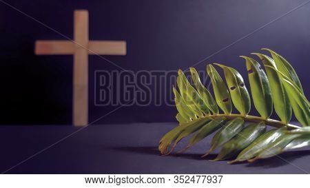 Lent Season,holy Week And Good Friday Concepts - Closed Up Palm Leave In Purple Vintage Background