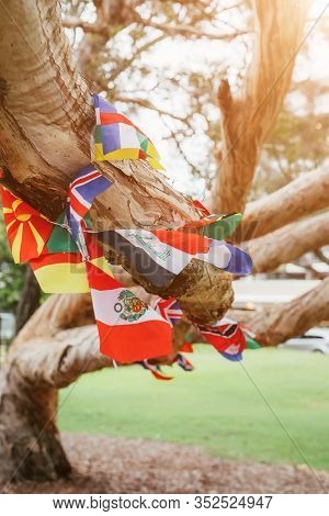 Flags Of Different Countries In The Tree. Multicultural Network, Inclusivity Concept.