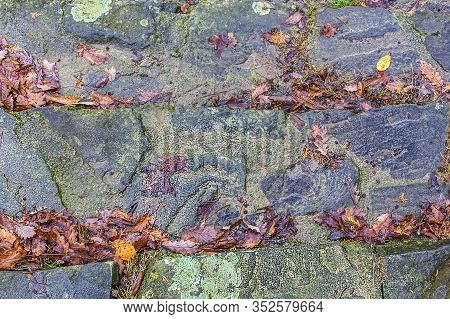 Autumn Background, Wet Asphalt Pavement With Puddles, Fallen Autumn Leaves.