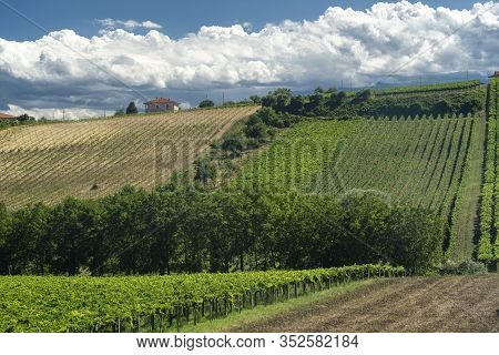 Rural Landscape Near Chieti, Abruzzo, Italy, At Summer. Vineyards