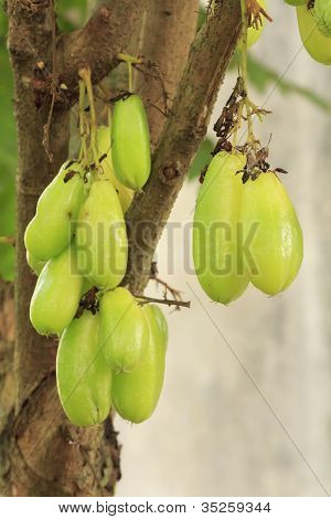Bilimbi hedelmät