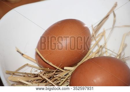 Two Natural Chicken Hen Brown Eggs In A Hay, Nautral Healthy Food Concept