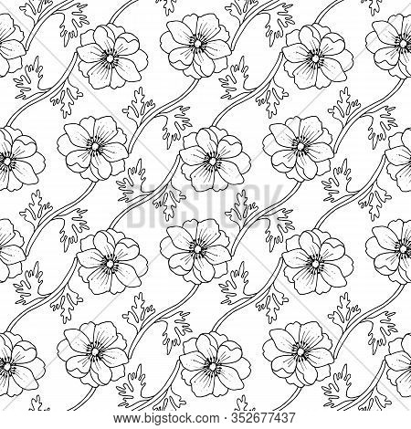 Seamless Pattern With Beautiful Flower Anemones On A White Background. Vector Hand Drawn Illustratio