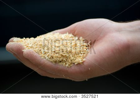 Piliny
