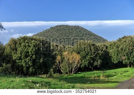 scenic Minardo Mount oak trees covered in Etna Park, Sicily 
