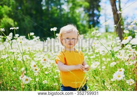 Adorable Baby Girl Amidst Green Grass And Beauitiful Daisies On A Summer Day. Little Child Having Fu