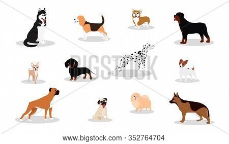 Different Dog Breeds And Mixed Set. Vector Illustration Of Funny Cartoon Different Breeds Dogs In Fl