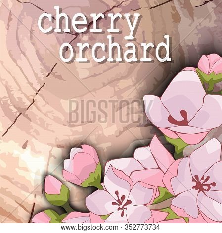 Wood Background With Flowers Of Cherry And Apple Trees. Rosebud. Place For Text. Cut Wood With The I