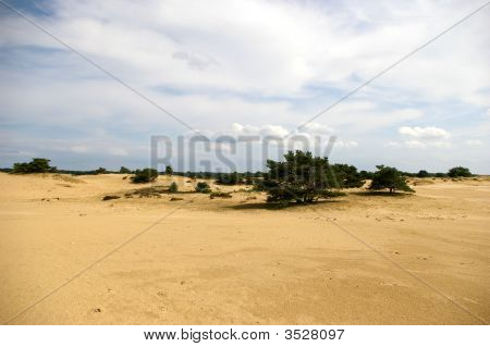 Dunas