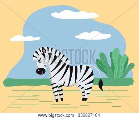 Zebra Stand In Safari Or Savanna. Wild Character In Wilderness Or Zoo. Animal Use Black And White St