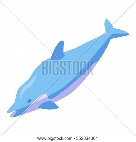 Blue Dolphin Icon. Isometric Of Blue Dolphin Vector Icon For Web Design Isolated On White Background