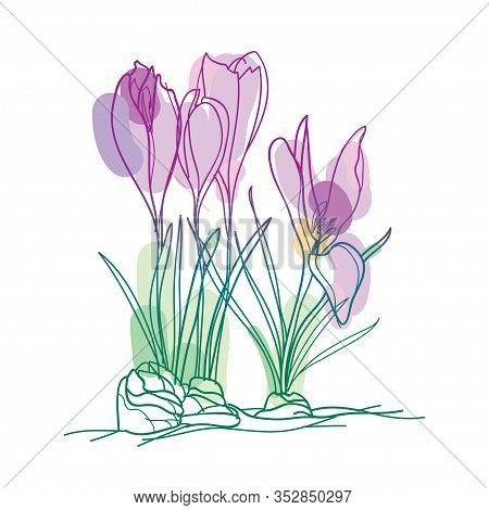 Vector Bouquet With Outline Pastel Purple Cyclamen Or Alpine Violet Bunch, Bud And Leaf Isolated On 