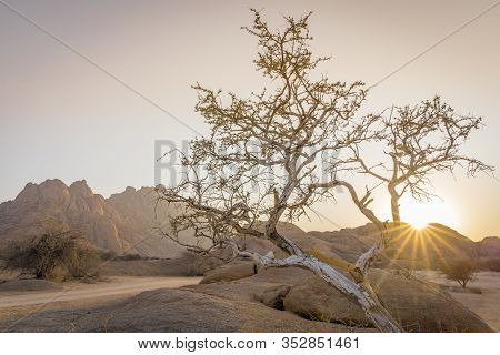 The Pondoks At Sunrise Near The Spitzkoppe Mountain In Namibia In Africa.